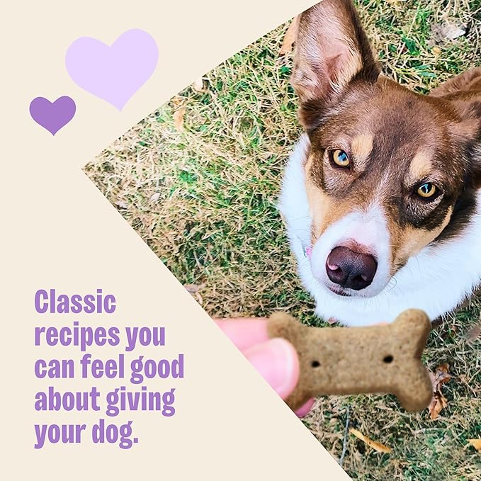 Old Mother Hubbard Wellness P-Nuttier Dog Biscuits, Natural, Training Treats, Peanut Butter Flavor, Mini Size, (20 Pound Box)