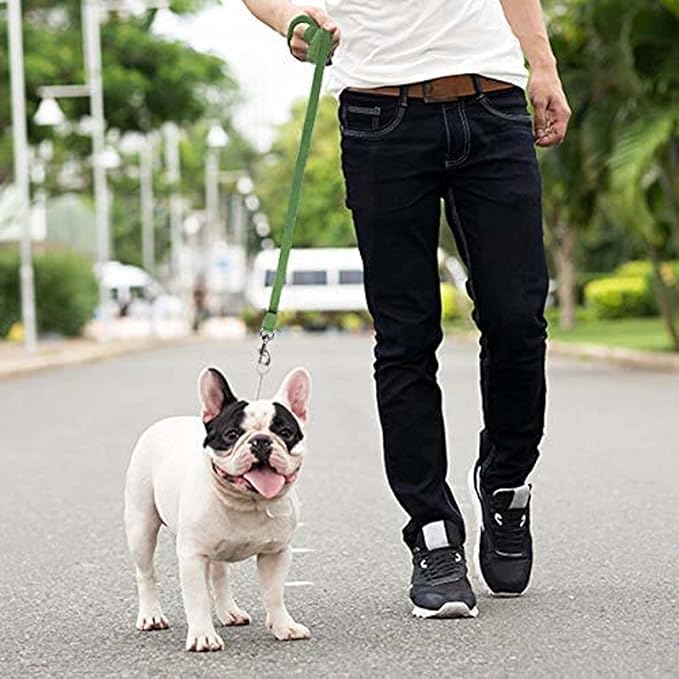 Downtown Pet Supply - Long Dog Leash - Dog Training Leash - Recall & Obedience Dog Training Tools - Nylon - 150 ft - Hunter Green Dog Leash