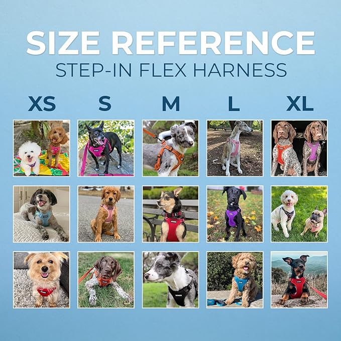 Best Pet Supplies Voyager Adjustable Step-in Flex Breathable Mesh Dog Harness for Small Medium Large Dogs Leash Set (Baby Blue), M