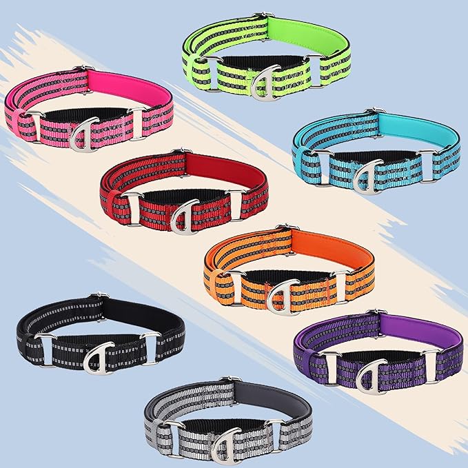 Martingale Dog Collar for Medium Dogs, No Pull Choke Collar with Reflective Nylon - Padded Comfort &- Adjustable Safe Dog Collar No Buckle for Nighttime Walking & Training -Black M