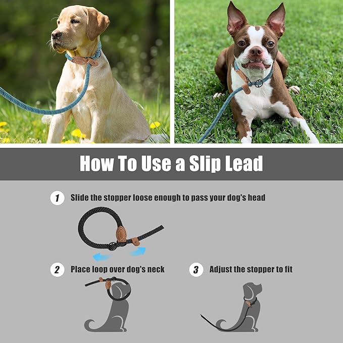 Mile High Life Slip Leads for Dogs | Heavy Duty Dog Training Leash | 6 Feet No Pull Slip Leashes w Leather Tip | Climbing Rope Lead for Dogs Outside