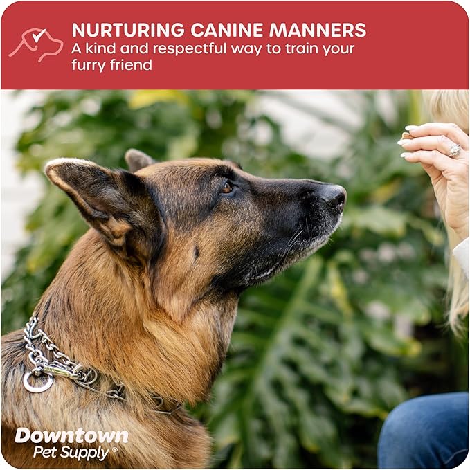 Downtown Pet Supply Chrome Plated Prong Collar for Dogs, Small - Adjustable, No-Choke and No Pull Dog Collar with Removable Links - Pinch Collar for Dogs Under 20 lbs and 14" Neck Width