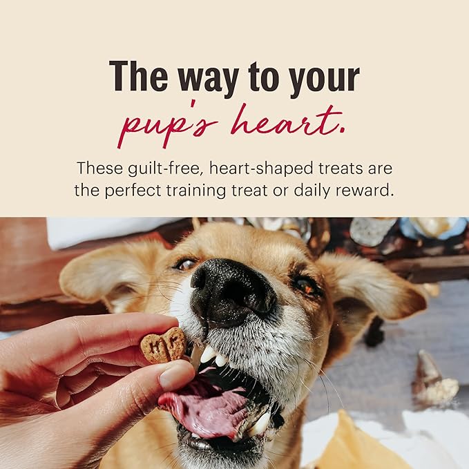 The Honest Kitchen Human Grade Dog Treats Parmesan Pecks: Chicken, Parmesan & Cranberry Recipe, 8 oz Bag