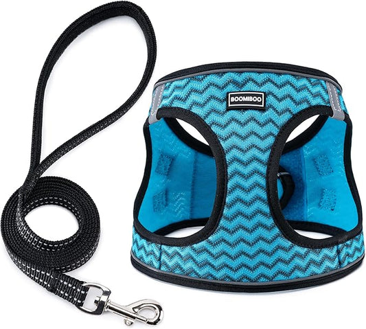 BOOMIBOO Dog Harness with Leash Set, No Pull Adjustable Reflective Step-in Puppy Pet Vest Harnesses for Small Medium Large Dogs and Cats,Blue Stripe S