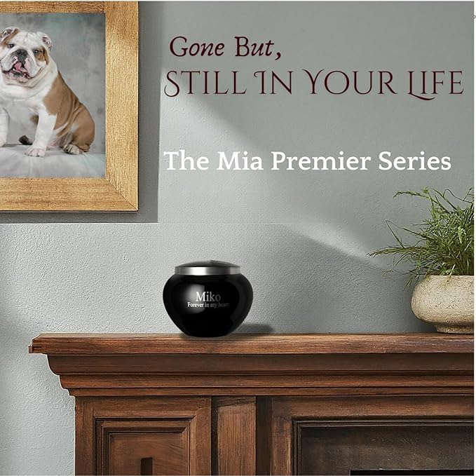 Mia Paws Premier Series Pet Urn for Dogs and Cats with Personalized Laser Engraving (Small - Pets up to 20 lbs, Ebony, Double Pewter Paws)