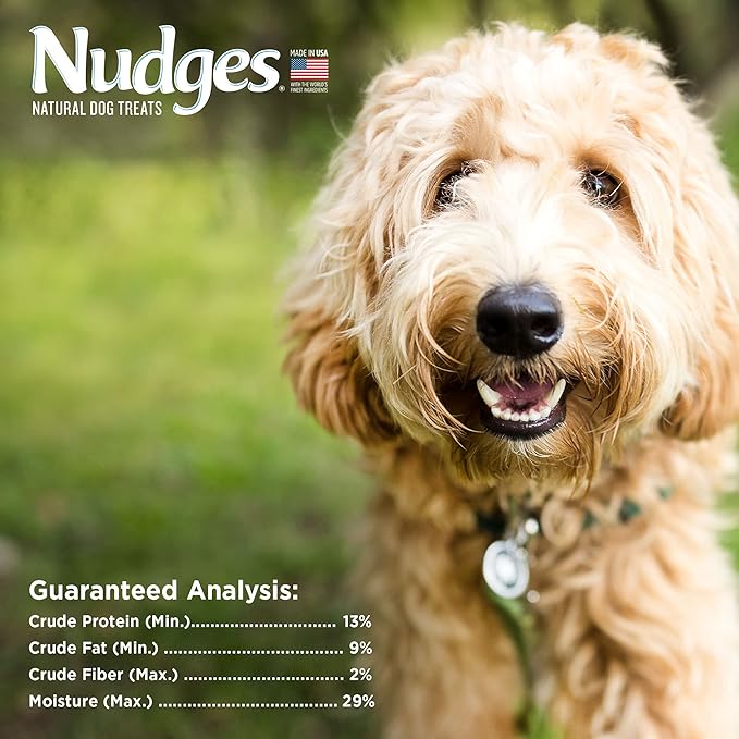 Nudges Blue Buffalo Homestyle Natural Dog Treats, Chicken, 10oz Bag