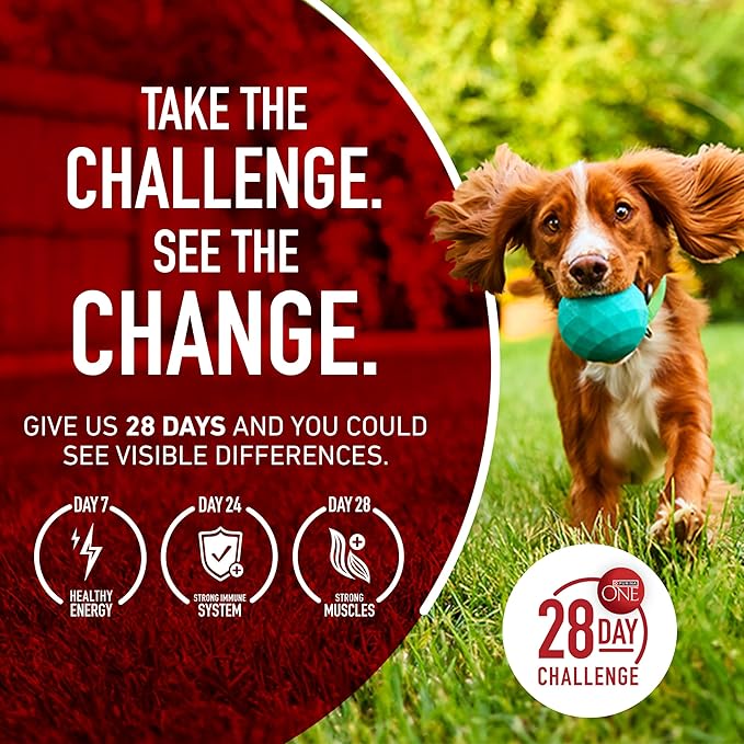 Purina One Plus Digestive Health Formula Dry Dog Food Natural with Added Vitamins, Minerals and Nutrients - (Pack of 4) 8 lb. Bags