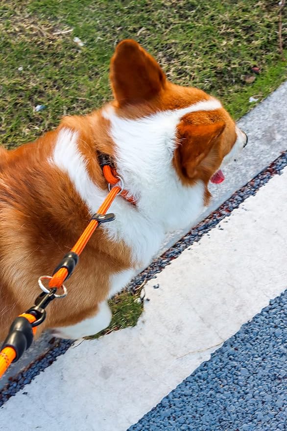 Red Nylon Dog Collar, Slidable Stopper, Medium, Small Medium Large Dogs