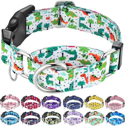Martingale Dog Collars with Buckle No Pull Training Dog Collar for Medium Dogs (Green Dinosaur, Medium)