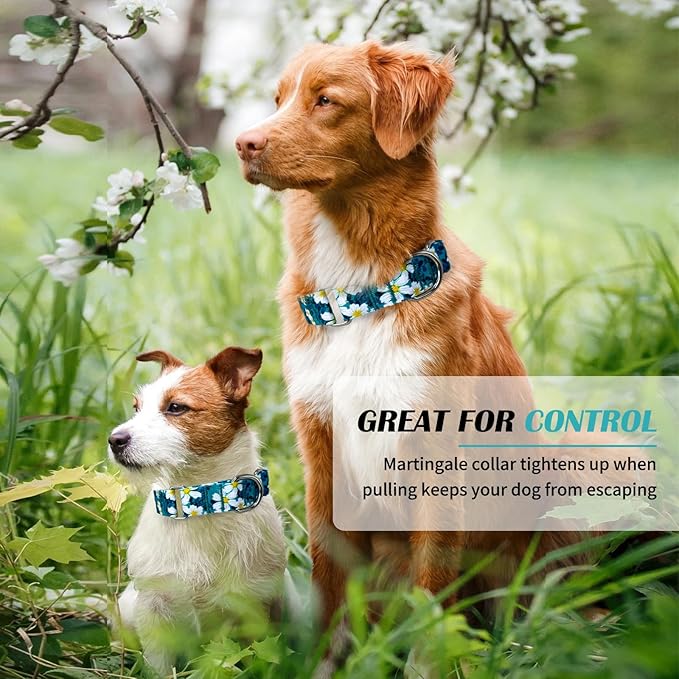 Hikiko Martingale Collar for Dogs with No Buckle Floral Daisy Dog Collar Soft Nylon No Pull Dog Collars for Medium Dogs,Green Flower,M