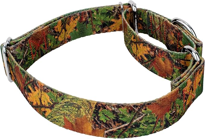 Country Brook Petz - Southern Forest Camo Martingale Dog Collar - Camouflage Collection Featuring Rugged Designs (5/8 Inch, Small)