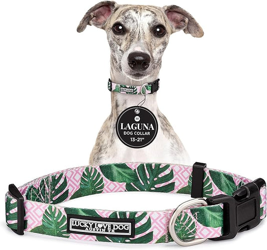 Lucky Love Dog Collars | Girl, boy Dog Collar for Small Medium Large Dogs - Comfortable, Soft, Cute - Laguna, Medium