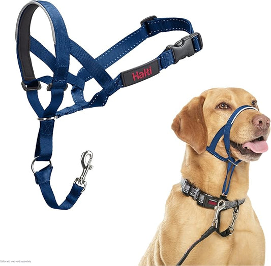 Halti Headcollar - Stop Your Dog Pulling on The Leash. Adjustable, Reflective and Lightweight, with Padded Nose Band. Dog Training Anti-Pull Collar for Medium Dogs (Size 3, Cobalt Blue)