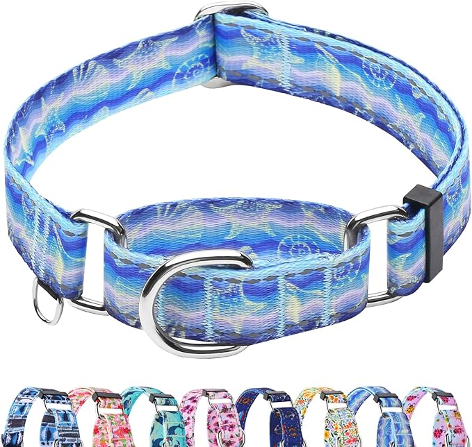 Reflective Martingale Collar for Dogs Nylon Training Collar with No Buckle, No Pull Adjustable Dog Collar for Small Dogs（Blue Starfish，S）
