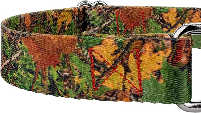 Country Brook Petz - Southern Forest Camo Martingale Dog Collar - Camouflage Collection Featuring Rugged Designs (1 Inch, Large)