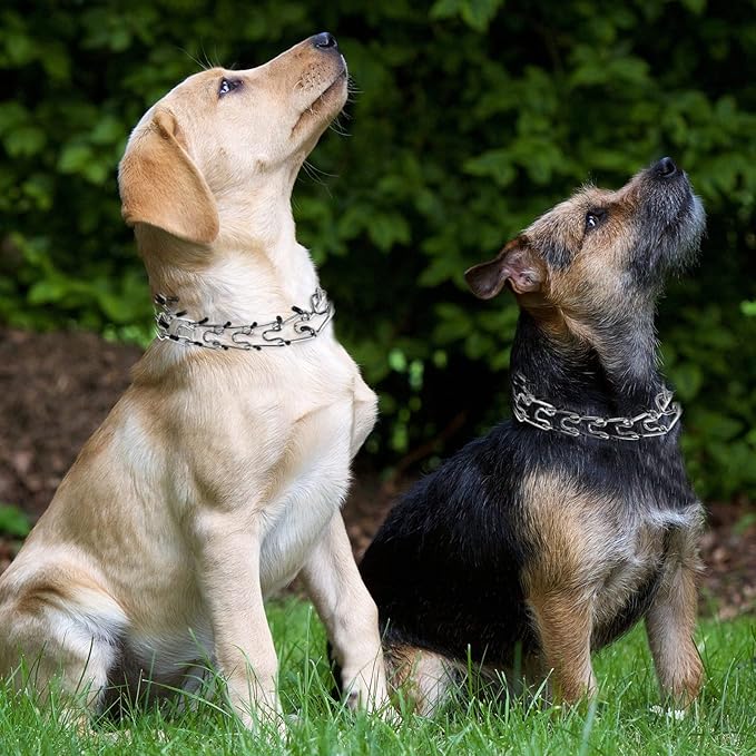 Dog Prong Collar, Adjustable Choke Collar for Dogs, High-Strength Metal Collar with Comfort Rubber Tips, for Small to Large Dogs, Gold
