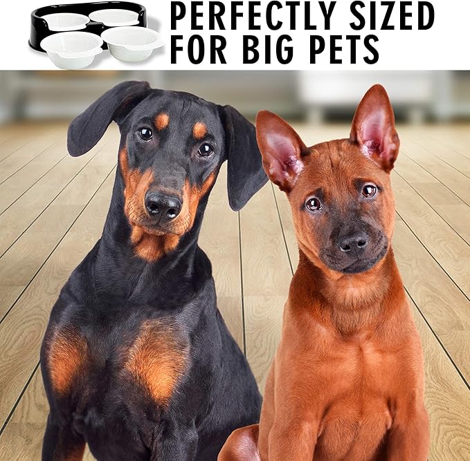 Cali Pets Clean Feeder Pet Bowls with Stand | Interchangeable Large Dog Food Bowls or Cat Feeder Bowl Set | BPA Free Plastic Pet Feeding Station