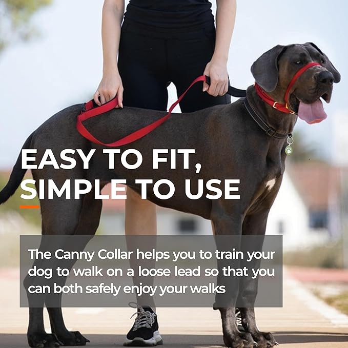 Canny Collar No-Pull Dog Head Collar | Train Your Dog to Stop Pulling & Walk On a Loose Leash | Gentle, Safe, Comfortable Training Aid | Medium/Large Dogs | Red, Size 5