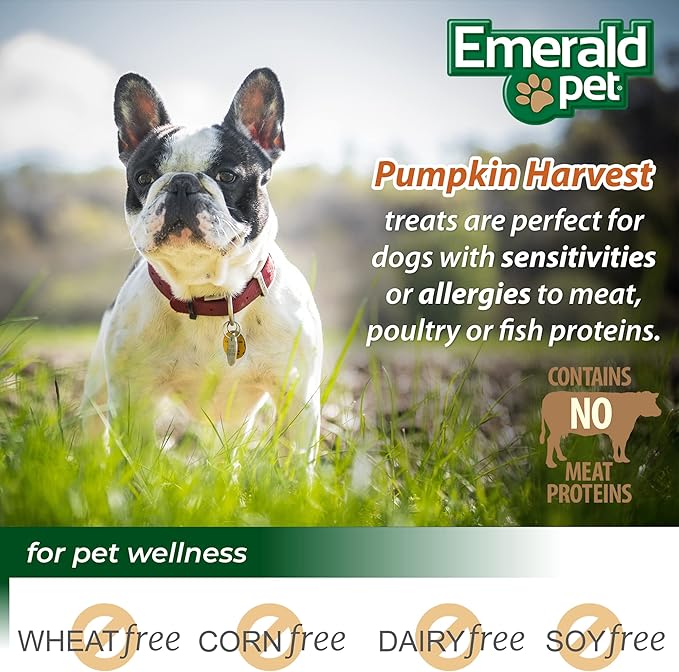Emerald Pet Pumpkin Harvest Mini Trainers with Blueberris and Cranberries Chewy Dog Treats Made in The USA, Pumpkin with Mixed Berry 6oz (Mixed Berry Mini)