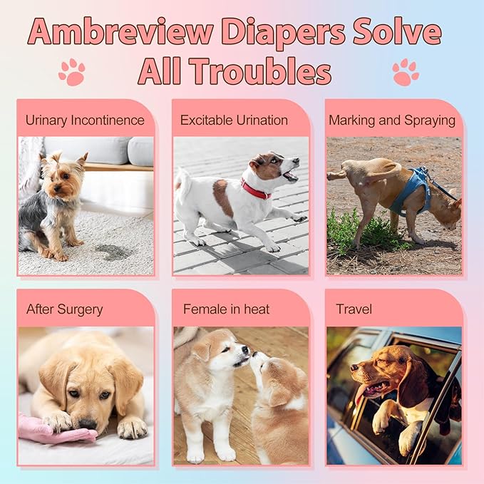 Ambreview Disposable Dog Diapers Female, Just Pull It Up, Doggie Diapers for Female Dogs, Strong Absorbency | Leak Proof, for Dogs in Heat | Elderly | Disabled, M 100 PCS