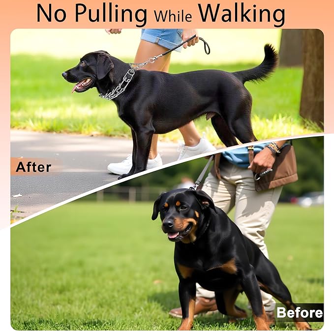 Stainless Steel Dog Training Collar, Quick Release Buckle, Adjustable Collar for Neck Girth 10.5"-13.5" Medium Dogs