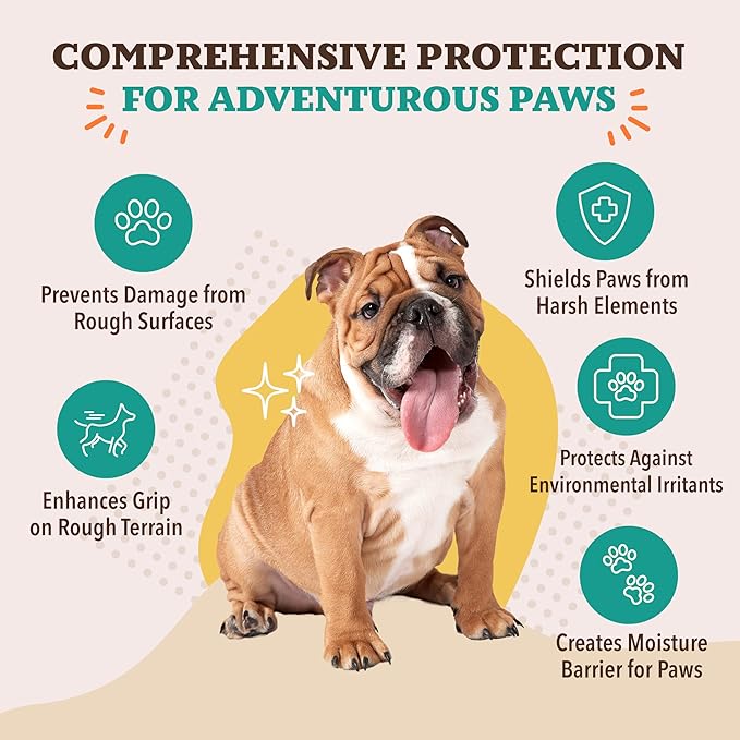 Natural Dog Company PawTection Balm for Dogs – Winter Paw Protection from Snow, Ice & Salt, Wax-Based Paw Barrier Balm, All Breeds for Cold Weather Walks & Outdoor Adventures, Lick-Safe, 0.15 oz Stick