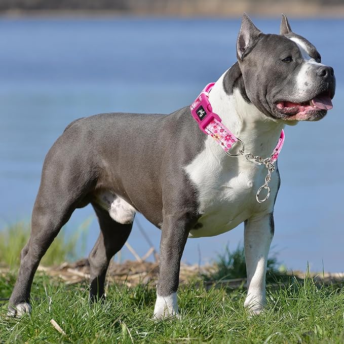 Martingale Dog Collar - Gentle Correction with No More Pulling - Strong 100% Stainless Steel Chain Softer, Padded Edges Nylon Stainless Chain Dog Collar - Large Dogs