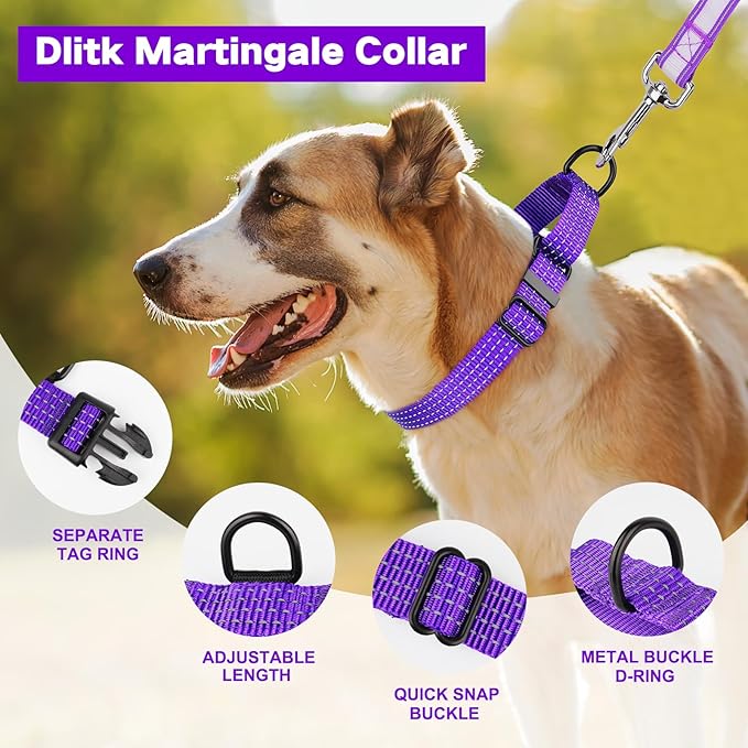 Martingale Dog Collars, Adjustable Reflective Nylon Dog Collar for Training Dogs, No Pull Dog Choker Collar for Medium Large Dogs (L, Purple)