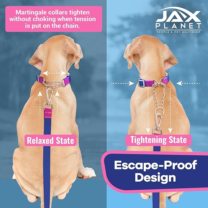 Jelly Waterproof Martingale Dog Collar, No Pull Nylon Collar with Alloy Metal Buckle & D-Ring for Outdoor Training and Walking, Anti Pull, Escape Free, One Time Adjustment - Blue & Rose, L