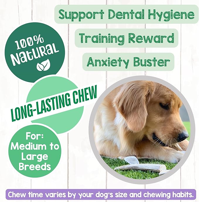 Nature Gnaws Antlers for Dogs (8oz) - Mix of Elk and Deer Antler - Variety of Split and Whole Pieces - Long Lasting for Aggressive Chewers and Large Dogs
