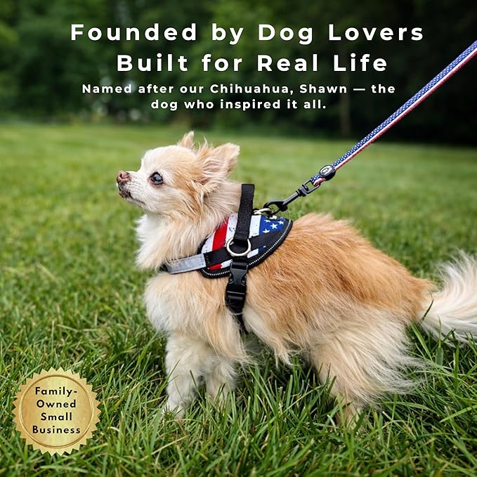 ShawnCo Essential Dog Harness, No-Pull Pet Vest with 3 Leash Clips, No Choke, Reflective, Adjustable and Padded, for Easy Walking and Training for Small, Medium and Large Dogs (Olive Green, M)
