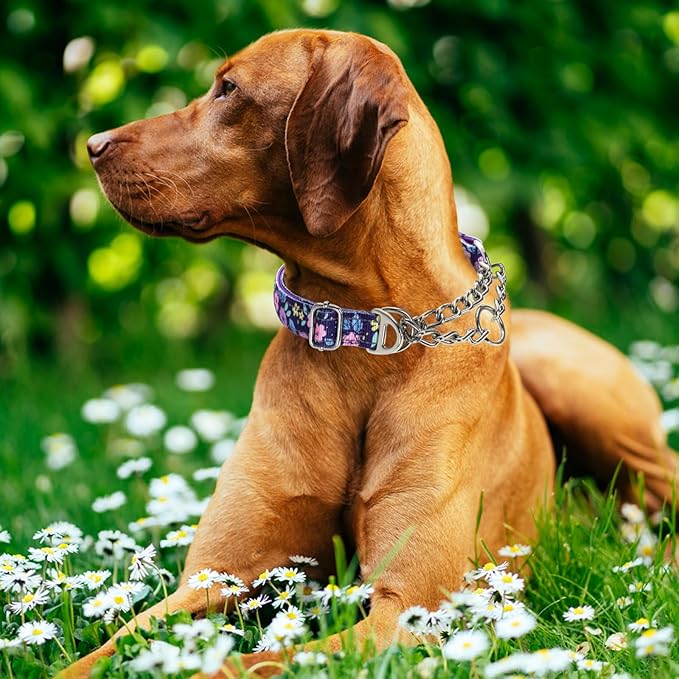 Reflective Martingale Dog Collar with Chain - Comfortable & Safe Choke Dog Collar for Medium Large Extra Large and XXL Dogs Trainer Recommended Collar (Purple Flowers L)