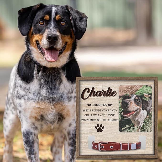 Dog Memorial Frame with Collar Holder – Best Friends Leave Pawprints on Our Hearts Quote – Personalized Pet Memorial Picture Frame with Name – Dog Loss Gift with White Wood Background