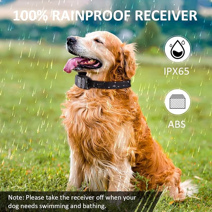 DOG CARE Shock Collar Receiver for Medium Large Dog, Long Remote Range, Vibration, Beep, 0-99 Adjustable Shock Levels, Work with DOG CARE TC01 Series from July 2025 Onwards, Collar Only