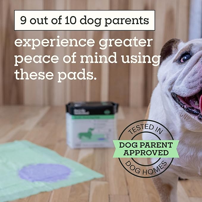 Pet Life Unlimited Health Check Puppy Pads for Dogs, Health Indicating Pee Pads, 10 Count, 22" x 22", Color-Track Technology Detects Common Health Issues, Leak-Proof, Super Absorbent, Made in USA