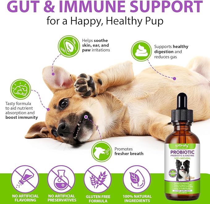 Liquid Probiotics for Dogs, 3 in 1 Dog Probiotic Drops with Prebiotic & Digestive Enzymes | Digestive Gut Health, Immunity Support, Diarrhea & Constipation Relief | Dog Probiotic Supplements 60ml
