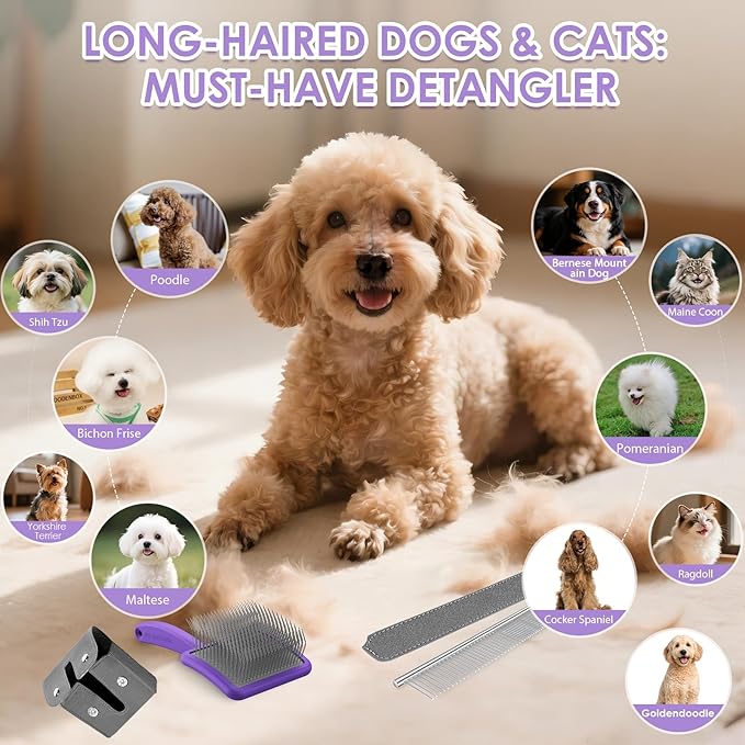 Large Slicker Brush for Dogs,Doodle Brush for Poodles, Goldendoodles, Labradoodle, Extra Long Pins for Detangling Matted Fur & Removing Tangle, Dog Grooming Kit with Wooden Handle. Purple