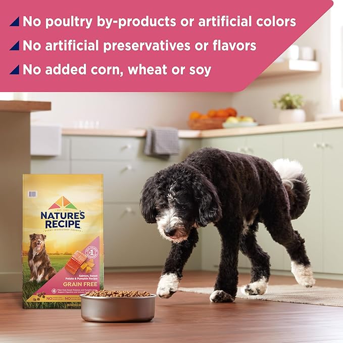 Nature’s Recipe Grain Free Dry Dog Food Salmon, Sweet Potato & Pumpkin Recipe, 24 lb. Bag