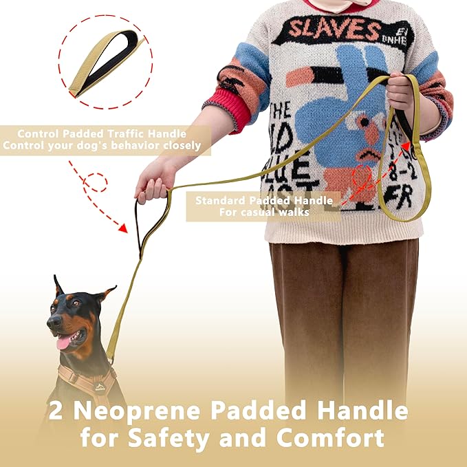 Dog Leash 4ft Long, Double Handle Dog Leash for Safety Control Training, Heavy Duty Dog Leads with Traffic Padded Handles, Reflective Leashes for Small Medium Large Dogs(4ft, Brown)