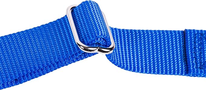 GOGO Pet Products 5/8-Inch Martingale Dog Collar, Small, Blue