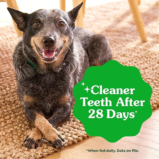 Greenies Dog Treats,Veterinarian-Recommended Natural Dental Dog Treats,Large Size,Sweet Potato Flavor,36 oz,24 Count (Pack of 2)