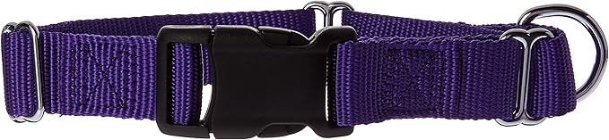 GOGO Pet Products Martingale Gentle Training Collar, Medium/Large, Purple