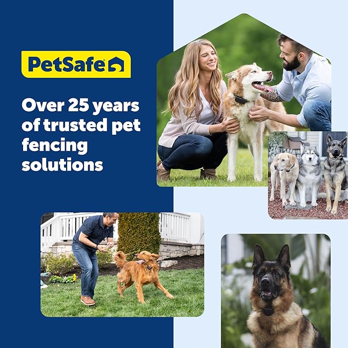 PetSafe 50 Boundary Flags - Extra Boundary Flags for In-Ground & Wireless Fence Training - Reusable Yard Markers - Visual Aid Flags for Pet Containment - Outdoor Pet Training Accessory