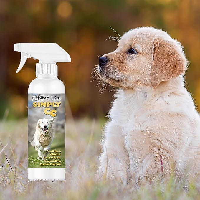 The Blissful Dog Simply CC Dog Cologne, 16 oz.