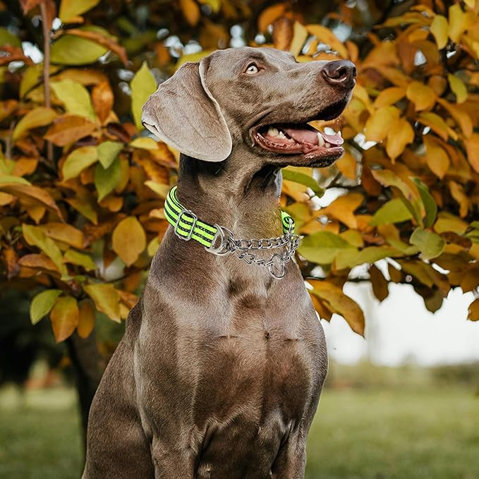 Reflective Martingale Dog Collar - Heavy Duty no Pull Dog Collar with Dual D-Rings, Adjustable Choke Chain Collar with Soft Padded Training Collar for Large/Medium/XL Dogs (Green L)