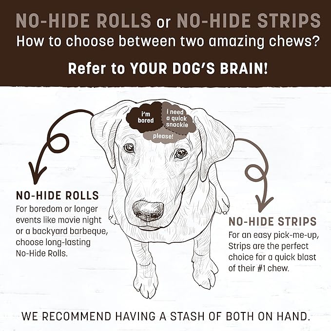 Earth Animal No Hide Chews - Long Lasting Rawhide Free Medium Dog Chews Rolls, Chicken - 3 Count Value Pack