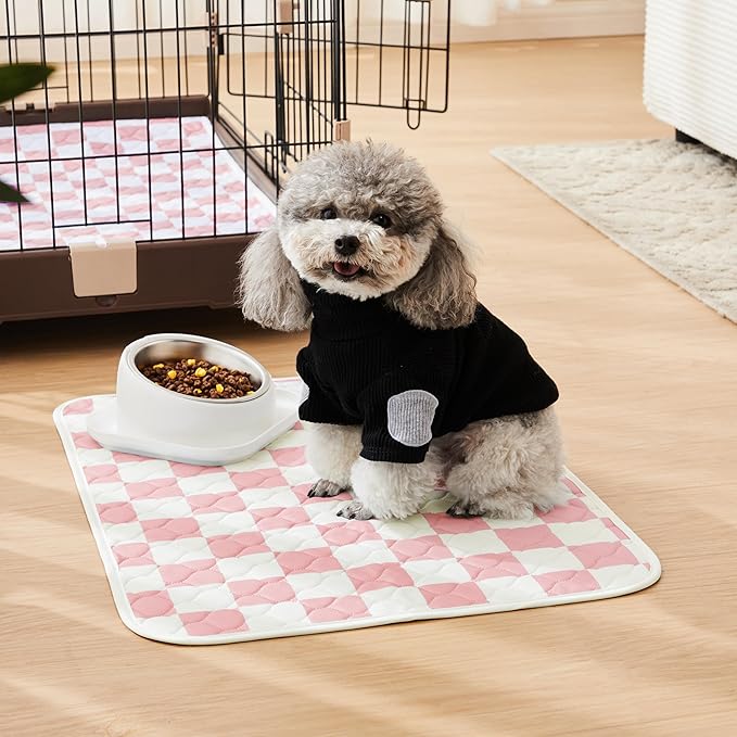 Ralxion 2 Pack Pink Checkered Washable Pee Pads for Dogs, Checkered Reusable Dog Pee Pads, for Puppy Playpen, Crate, Whelping Box, Potty Training, Cute Aesthetic Absorbency, Leak-Proof Non-Slip