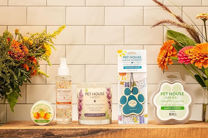 One Fur All Pet House Candle Value Pack - Plant-Based/Soy, Long Lasting Odor-Fighting Candles, Mango Peach Scent
