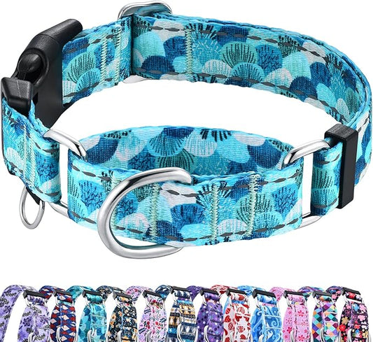 Reflective Martingale Collar with Buckle Adjustable Nylon Training Pet Collars for Medium Dogs (Turquoise Shell, M)