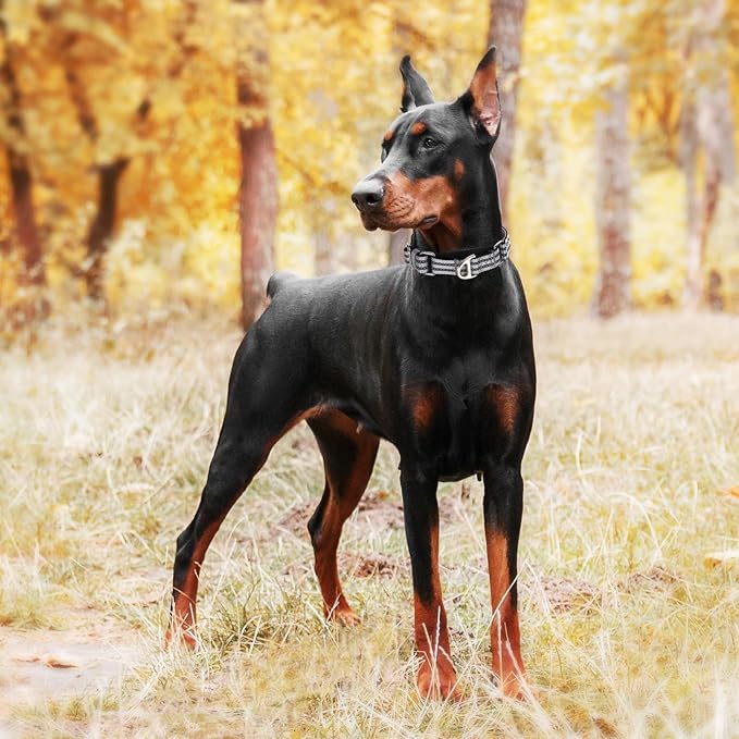 Martingale Dog Collar for Medium Dogs, Reflective Nylon No Pull Choke Collar with Padded Comfort & Adjustable Safe Dog Collar No Buckle for Nighttime Walking & Training -Silver M